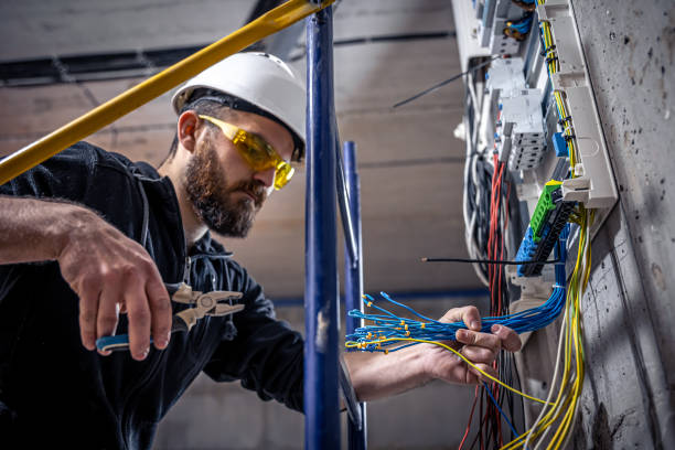 Best Electric Panel Repair  in Cheat Lake, WV